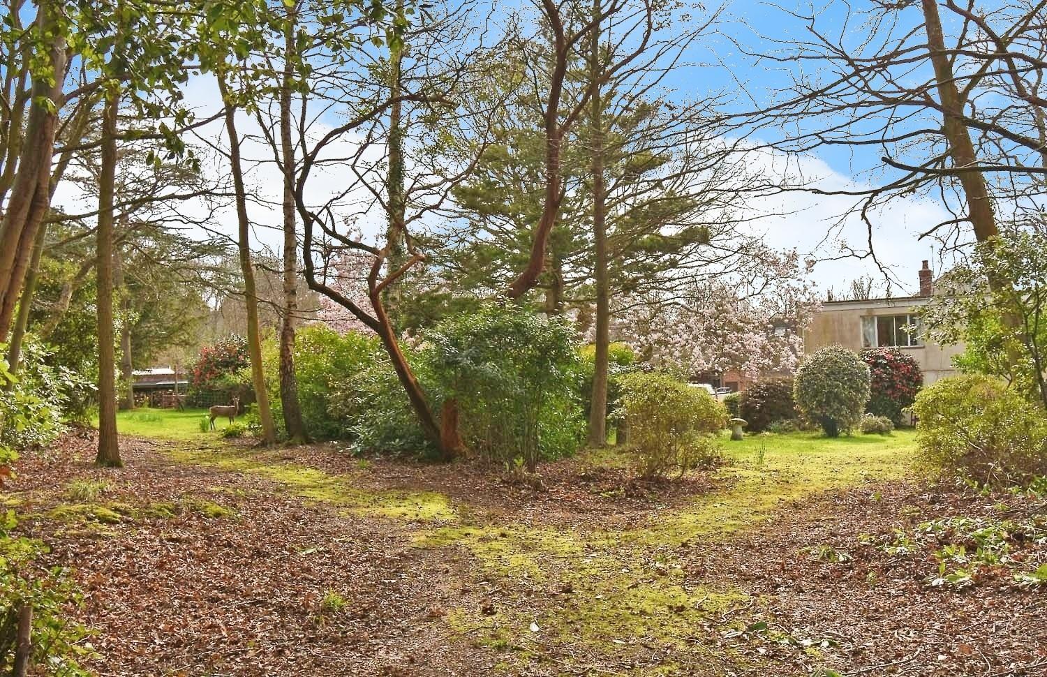 Lower SwanwickBrooklands Barn公寓 外观 照片